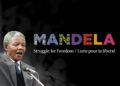 Mandela: Struggle for Freedom expo